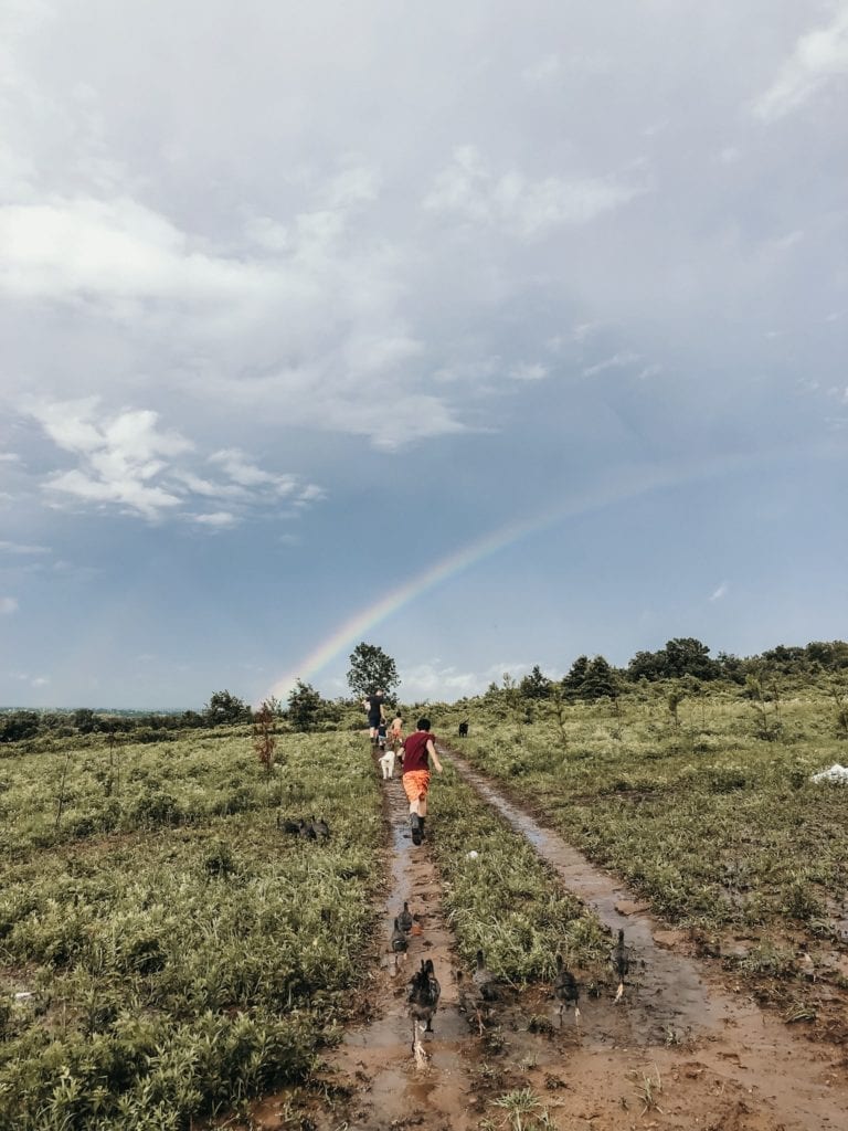 rainbows, madison vining homestead, farm, farm skies, open sky